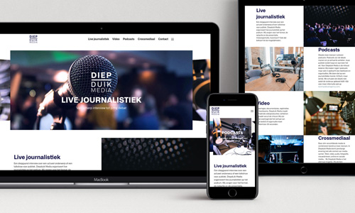 Diepduik Media website en logo